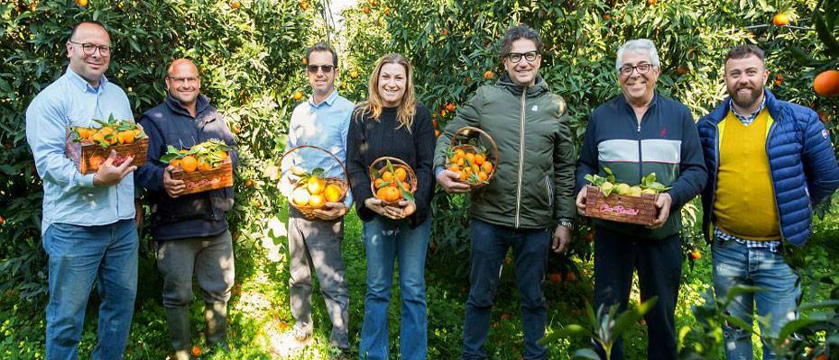 TUI Care Foundation startet ‘Field to Fork Puglia’ für nachhaltige Zitrus- und Muschelproduktion - Lesen Sie die Nachrichten