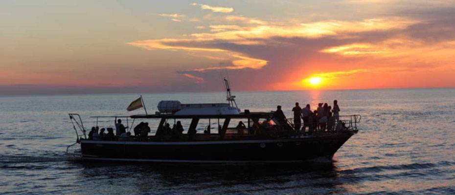 Tren de Sóller bietet teures Eclipse-Paket auf Mallorca an - Lesen Sie die Nachrichten