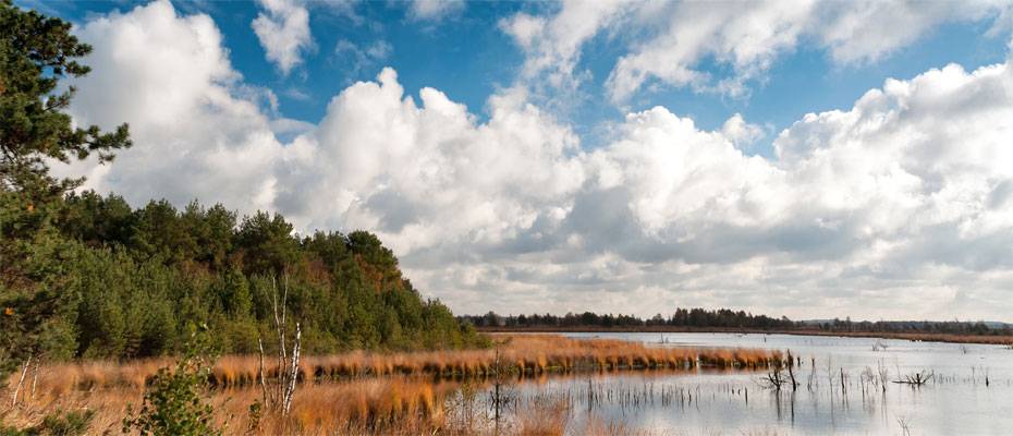 Radreise ‘Kunst im Norden’ verbindet Worpswede und Dangast - Lesen Sie die Nachrichten