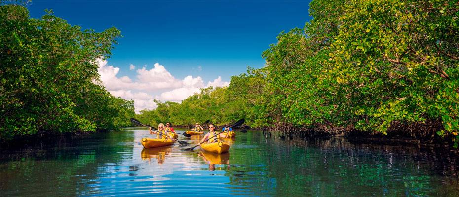 Fort Myers verbindet Naturerlebnisse, Tierbeobachtung und Inselküche - Lesen Sie die Nachrichten