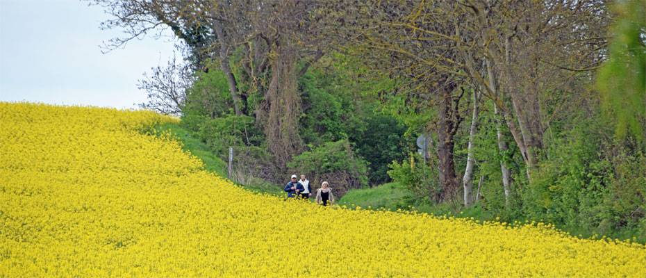 Tag des Wanderns rückt Gemeinschaft und Naturerlebnis in den Fokus - Lesen Sie die Nachrichten
