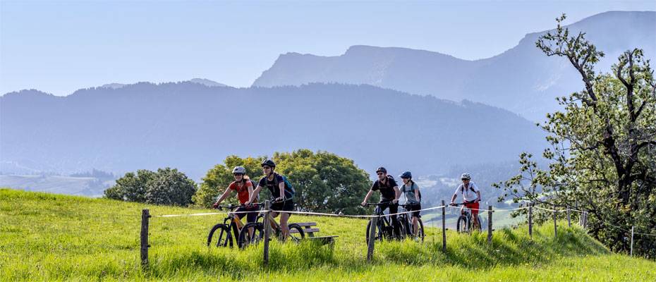 Allgäu und Bayerisch-Schwaben starten mit Gästeplus ins Tourismusjahr 2026 - Lesen Sie die Nachrichten
