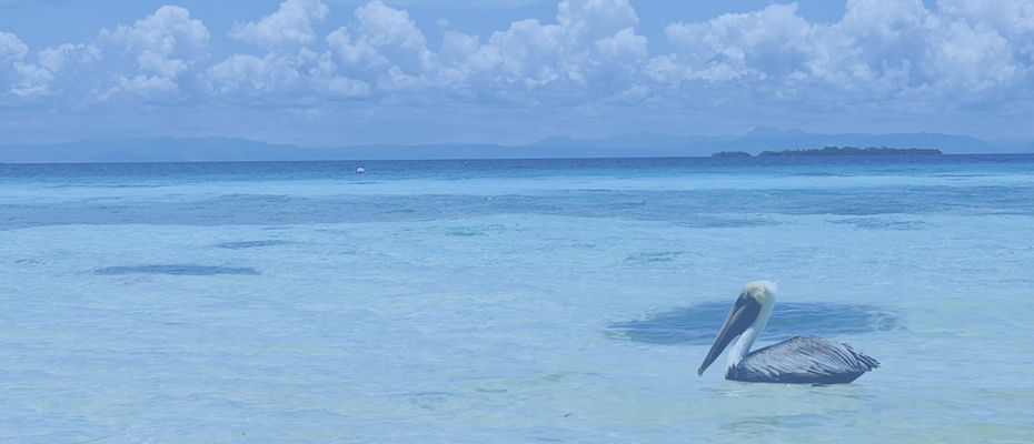 To Belize in the off-season with Alaska Airlines - Lesen Sie die Nachrichten?>