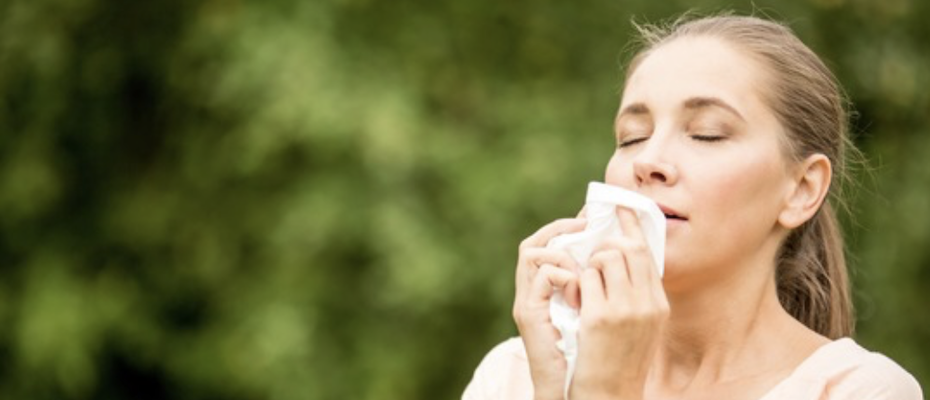 Diese Regionen sind ein Paradies für Allergiker - Lesen Sie die Nachrichten