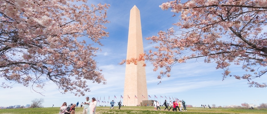 Washington, DC verzeichnet drittes Tourismus-Rekordjahr in Folge - Lesen Sie die Nachrichten