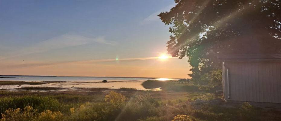 Naturreisen im Sommer: Mit Ruhe und Zeit die Vielfalt Europas entdecken - Lesen Sie die Nachrichten