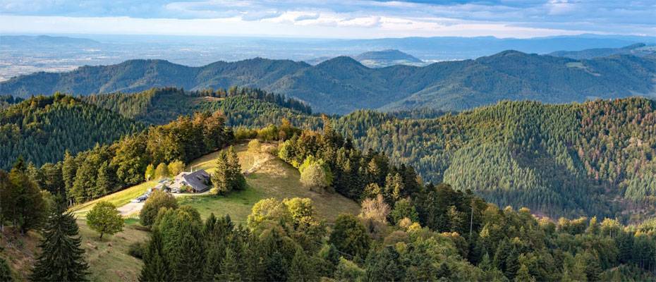 Genuss-Gipfel im Schwarzwald - Lesen Sie die Nachrichten