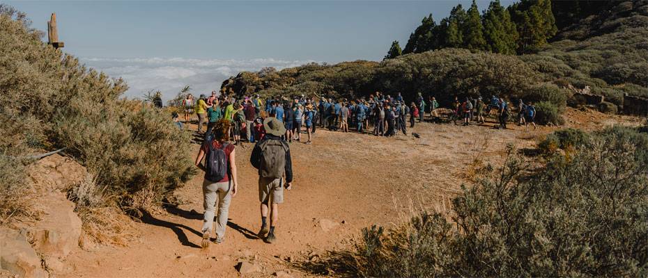 Gran Canaria zeigt Wanderern neue Seiten der Insel - Lesen Sie die Nachrichten