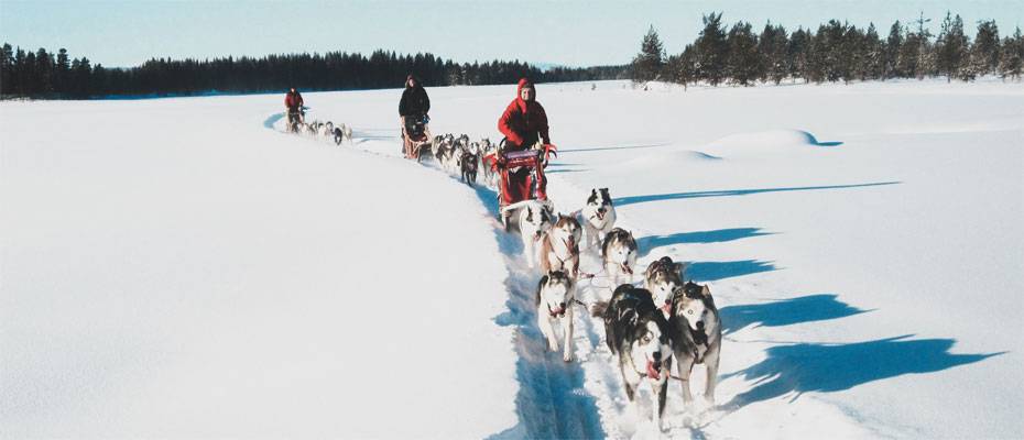 Wyldaway erweitert Programm mit Reisen nach Lappland, Vietnam und Indien - Lesen Sie die Nachrichten