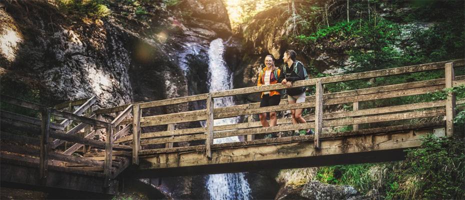 Deutschlands schönster Wanderweg 2026 führt durch den Bayerischen Wald - Lesen Sie die Nachrichten