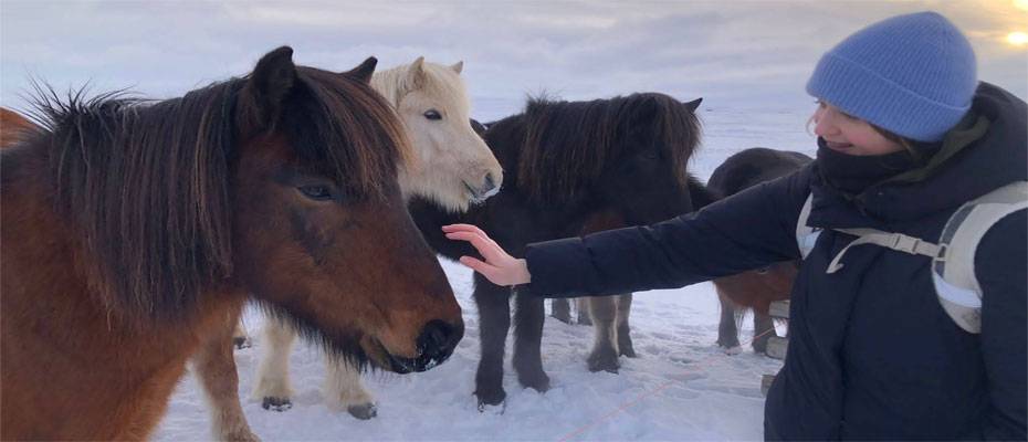 Experiment erweitert Ranchstay-Angebot um Island und Skandinavien - Lesen Sie die Nachrichten