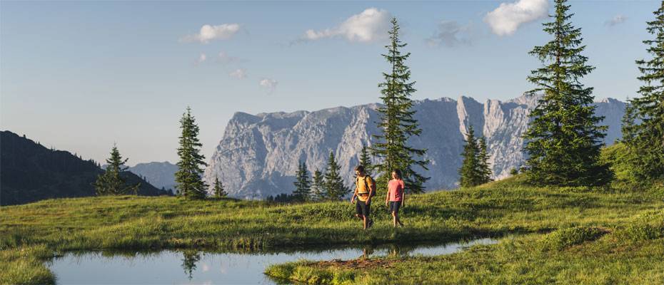 Sternwanderungen machen mehrtägiges Wandern komfortabler - Lesen Sie die Nachrichten
