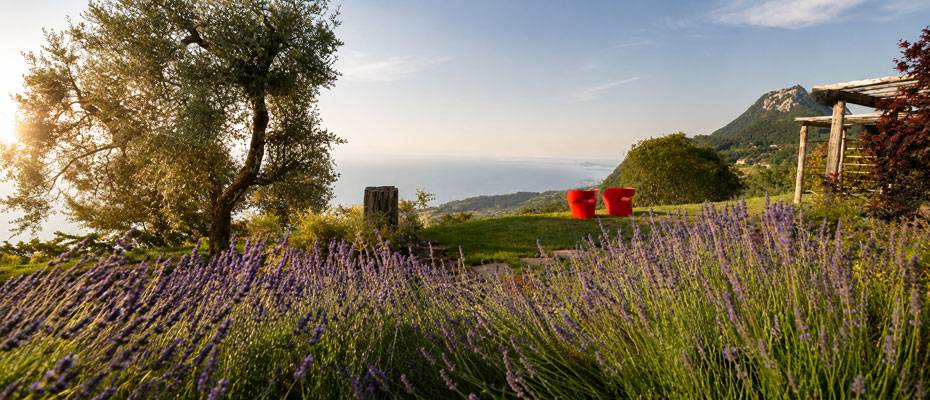 Lefay Resorts setzen auf bewusste Regeneration statt bloßer Auszeit - Lesen Sie die Nachrichten