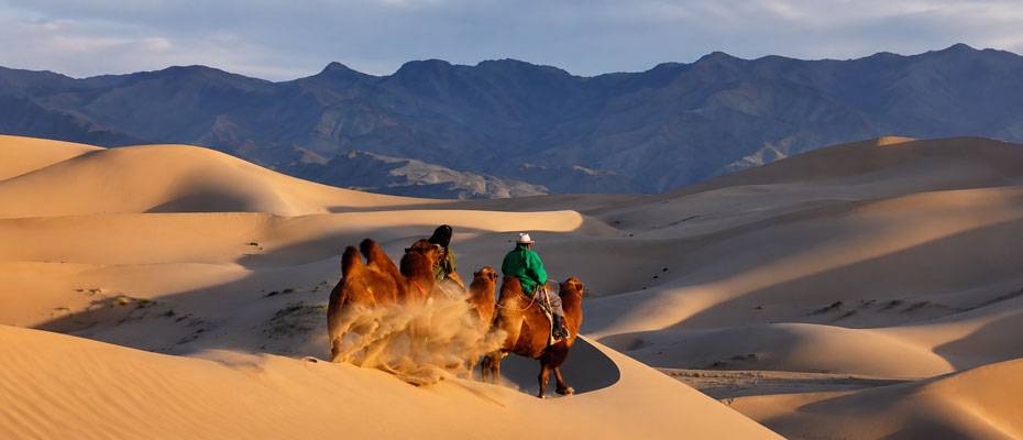 Last Minute mit dem Mietwagen durch die Mongolei - Lesen Sie die Nachrichten