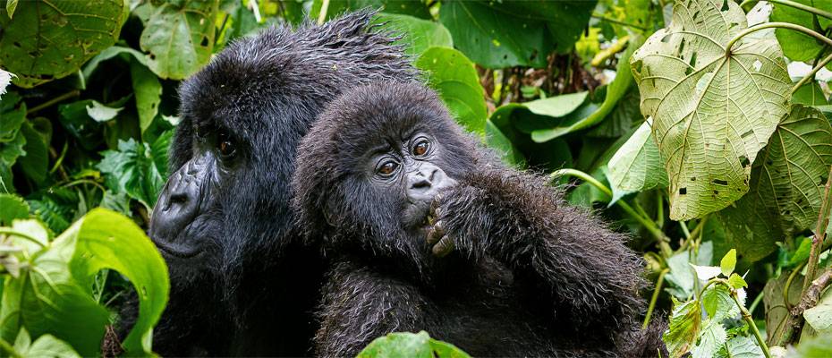 National Geographic Signature erweitert Premium-Kollektion um 17 Reisen - Lesen Sie die Nachrichten