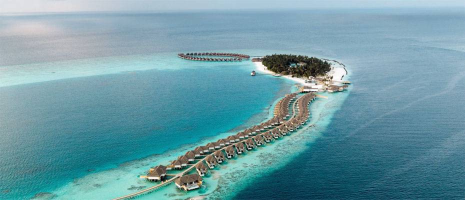 Malediven: Korallenpatenschaft statt Souvenir im Sun Siyam Vilu Reef - Lesen Sie die Nachrichten