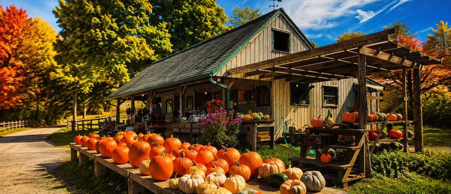 New England: Autumn escapes blend foliage, folklore and historic towns - Lesen Sie die Nachrichten?>