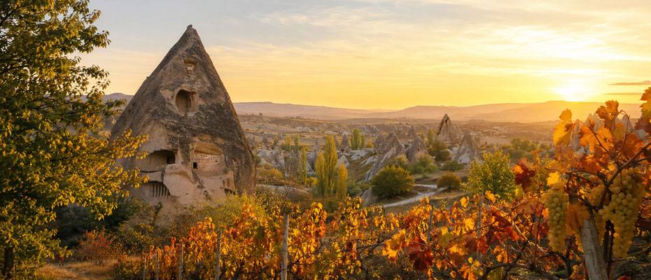 Capadocia en otoño: un paisaje de luz, viñedos y colores - Leer las noticias