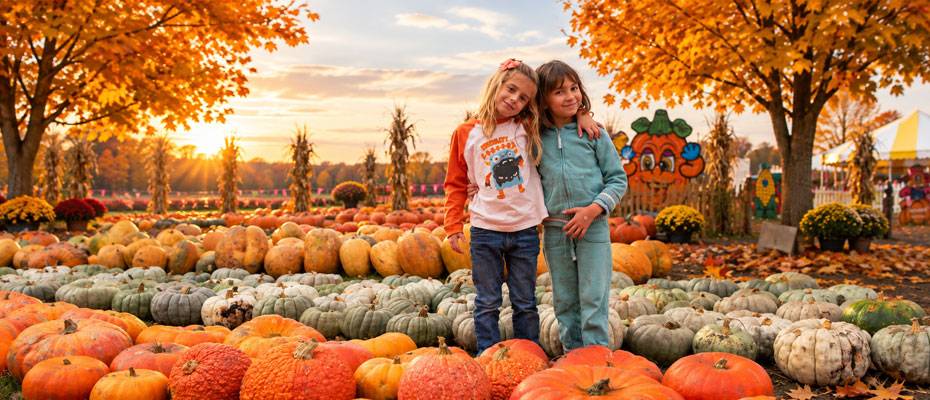 Illinois zeigt sich im Herbst zwischen Weinbergen, Wäldern und Kürbisfesten - Lesen Sie die Nachrichten