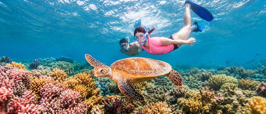 Australien: Zehn Gründe für einen Tauchgang am Great Barrier Reef - Lesen Sie die Nachrichten