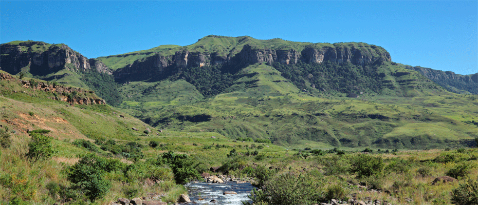 Südafrika: Neues Waldcamp am Hluhluwe-iMfolozi-Park geplant - Lesen Sie die Nachrichten