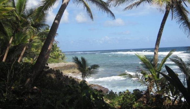 Die DomRep kann auch anders: aktiv durchs Karibikparadies
