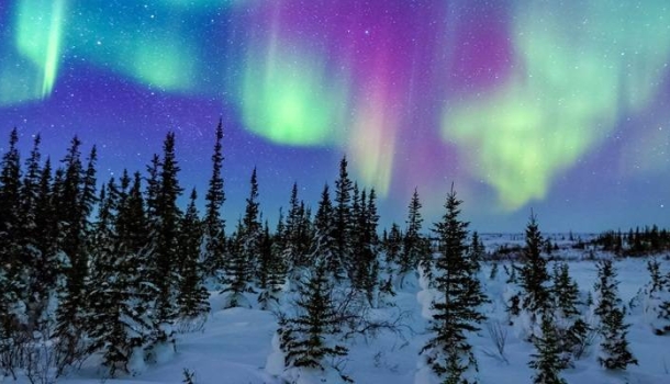 Tuja Reisen stellt Winterprogramm 2025/26 für Finnisch-Lappland vor
