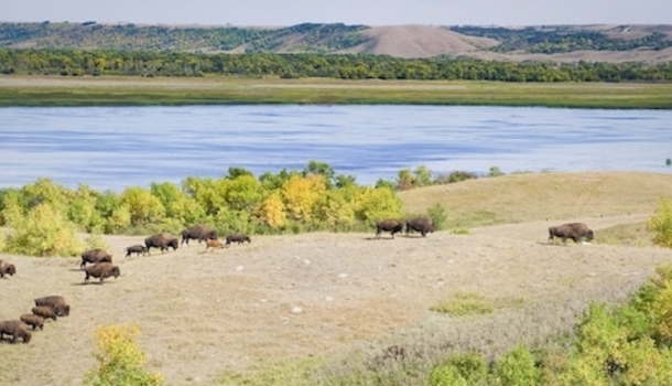 Buffalo Pound Provincial Park: Zwischen Bisonpfaden und Abenteuerlust - Lesen Sie die Nachrichten