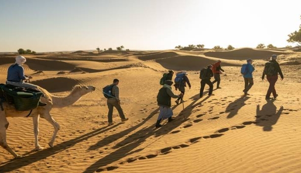 Fernreisen 2026: Authentische Erlebnisse in Marokko, Bhutan und Brasilien