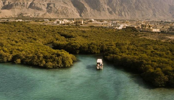 Bewusst reisen im Natur-Emirat Ras Al Khaimah - Lesen Sie die Nachrichten