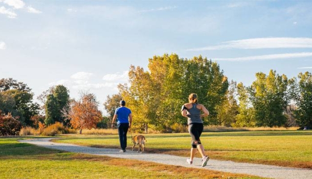 Herbstliche Ausflüge in und um Denver - Lesen Sie die Nachrichten