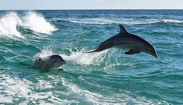 Panama City Beach: Zwischen Retro-Charme und Lifestyle-Trends - Lesen Sie die Nachrichten