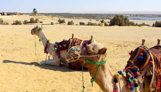 Mısır, yılın ilk dokuz ayında 15 milyon turist ağırladı - Haberi Oku