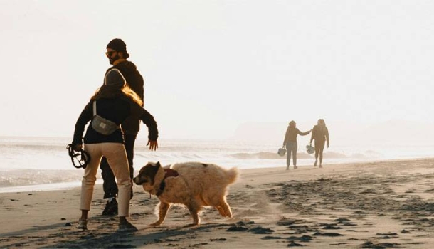 Lissabon auf vier Pfoten – die Hauptstadt setzt auf pet-friendly Reisen - Lesen Sie die Nachrichten