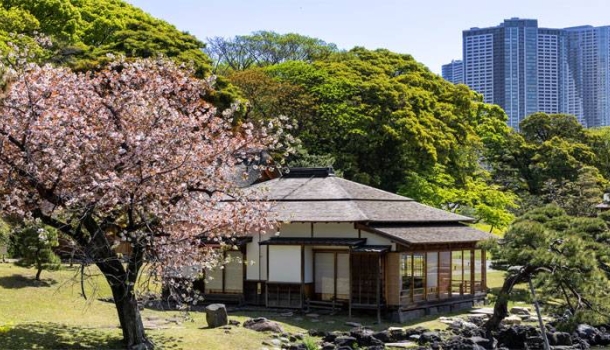 Kirschblüte, Karneval, Kulinarik: Mit Silversea weltweite Großevents exklusiv erleben - Lesen Sie die Nachrichten