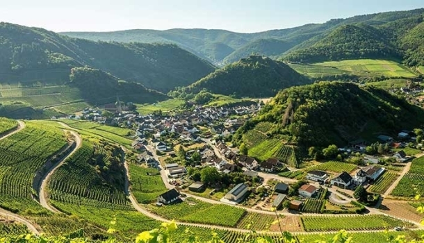 Expedienten-Reise: Erlebe das Ahrtal persönlich!