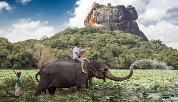 Die richtige Küste zur richtigen Zeit: Sri Lanka clever bereist - Lesen Sie die Nachrichten