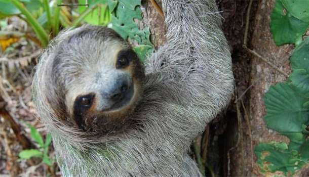 For Family Reisen startet mit erweitertem Familienprogramm ins Reisejahr 2026