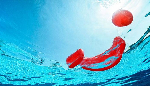 Spanien als Vorreiter für nachhaltige Mobilität bei TUI - Lesen Sie die Nachrichten