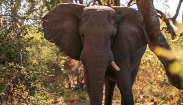 Das südliche Afrika im Slow-Travel-Rhythmus - Lesen Sie die Nachrichten