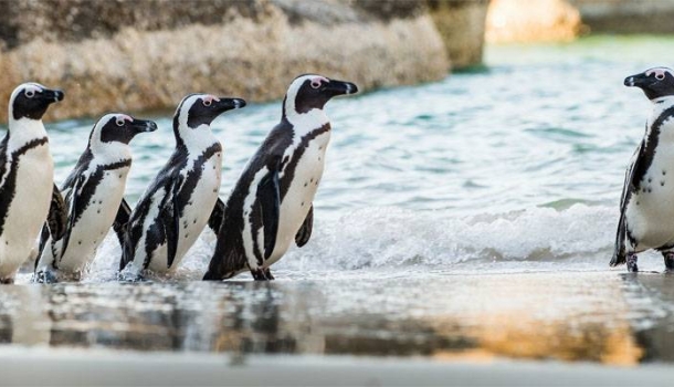Boomerang startet begleitete Fernreisen ab Deutschland