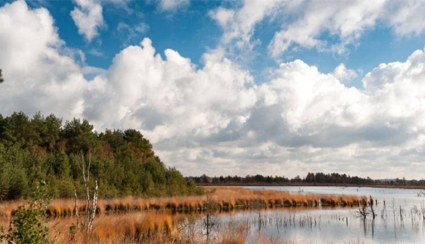 Radreise ‘Kunst im Norden’ verbindet Worpswede und Dangast