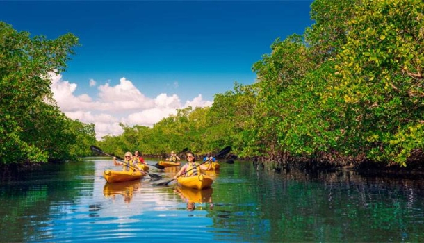 Fort Myers verbindet Naturerlebnisse, Tierbeobachtung und Inselküche - Lesen Sie die Nachrichten