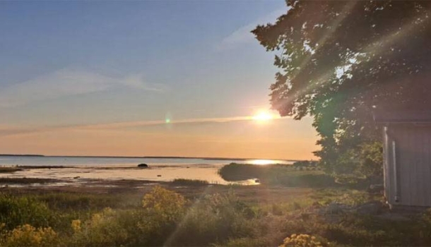 Naturreisen im Sommer: Mit Ruhe und Zeit die Vielfalt Europas entdecken - Lesen Sie die Nachrichten