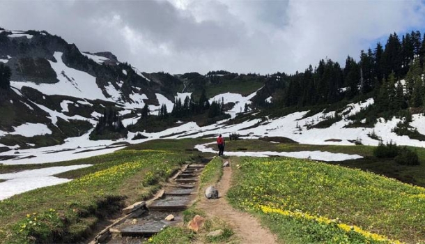 Urban Hiking: Fünf Stadtwanderungen zeigen Seattle von seiner grünen Seite - Lesen Sie die Nachrichten