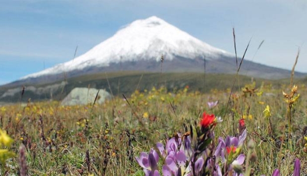 Neue Rundreisen führen zu Ecuadors Vulkanen und Andenlandschaften - Lesen Sie die Nachrichten
