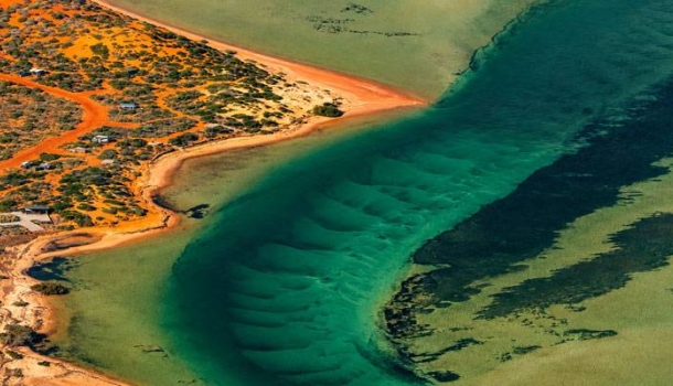 NAAR lädt Reisebüros zum Westaustralien-Webinar - Lesen Sie die Nachrichten
