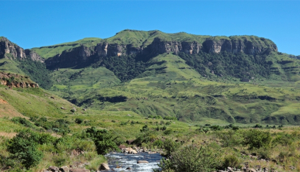 Südafrika: Neues Waldcamp am Hluhluwe-iMfolozi-Park geplant