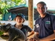 Wildlife Volunteer in Tropical North Queensland