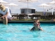 A-ROSA bietet Schwimmkurse im Sommer an